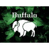 Buffalo Logo Stencil 5.5 - Reusable for Airbrush, Scrapbooking & Crafts