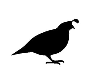 Generic Quail Stencil, Reusable, Precision-Cut Mylar, 4-Inch, Ideal for Nature-Themed Crafts and Decor, White