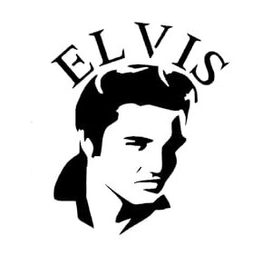 Generic Elvis Stencil, Reusable Mylar 5x6 Inches, Ideal for Music-Themed Crafts and Home Decor, White