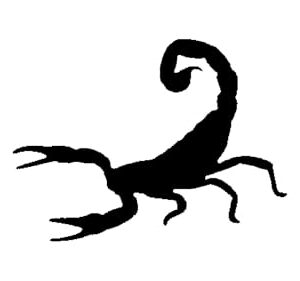 Generic Scorpion Stencil, Reusable, Durable Mylar, 4-Inch, Perfect for Wildlife or Tattoo-Themed Crafts and Decor, White