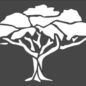 Stencil Big Tree Design, Plastic Reusable