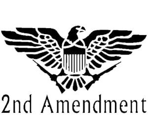 Generic 2nd Amendment Stencil, Reusable Plastic Template, 5x8 Inch, Durable for Patriotic Crafts and Home Decor, White