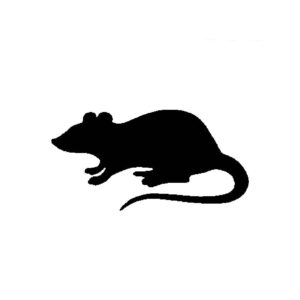 Generic Rat Stencil, Reusable Plastic Template, 8 Inch, Durable for Urban Art Projects and Halloween Decor, White