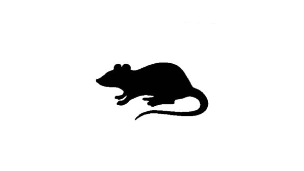 Generic Rat Stencil, Reusable Plastic Template, 8 Inch, Durable for Urban Art Projects and Halloween Decor, White