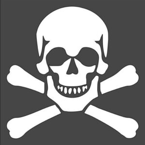 Stencil Skull Crossbones, Plastic Reusable