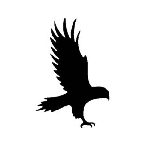 Hawk Stencil for Painting, Reusable, Precision-Cut Mylar, 4-Inch, Perfect for Wildlife-Themed Crafts and Decor