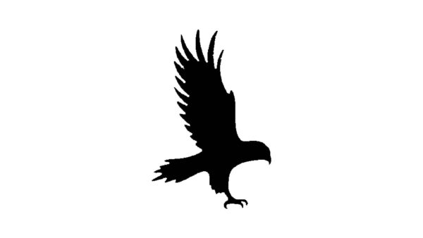 Hawk Stencil for Painting, Reusable, Precision-Cut Mylar, 4-Inch, Perfect for Wildlife-Themed Crafts and Decor