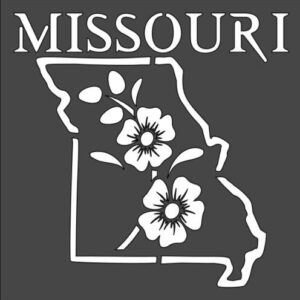 Stencil Missouri, Plastic Reusable