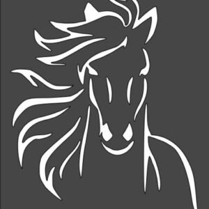 Stencil Horse Outline Drawing, Plastic Reusable
