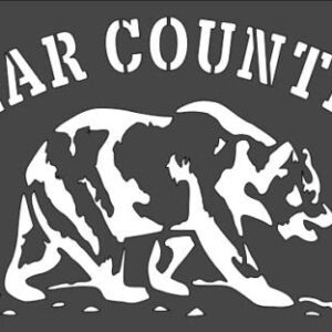 Stencil Bear Country Design, Plastic Reusable