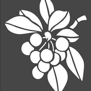 Stencil Cherry, Plastic Reusable