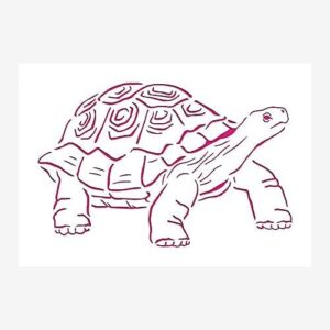 Tortoise Stencil Reusable Sturdy Flexible Transparent 10mil Mylar Arts and Crafts Material Scrapbooking for Airbrush Painting Drawing LIONX