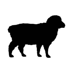 Sheep Stencil for Painting, 4-Inch, Reusable Plastic, Farm Animal Crafting and Home Decor, DIY Projects