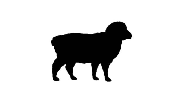 Sheep Stencil for Painting, 4-Inch, Reusable Plastic, Farm Animal Crafting and Home Decor, DIY Projects