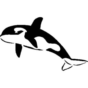 Generic Orca Stencil, Mini Reusable Plastic Template, 2x3.25 Inch, Durable for Marine Life Crafts and Small Decor, White