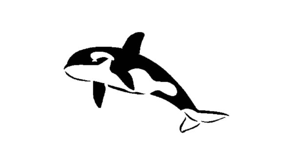 Generic Orca Stencil, Mini Reusable Plastic Template, 2x3.25 Inch, Durable for Marine Life Crafts and Small Decor, White