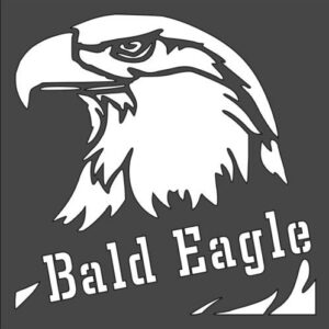 Stencil Eagle face, Plastic Reusable