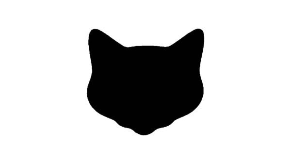 Generic Cat Head Stencil, Reusable Plastic Template, 8 Inch, Durable for Animal-Themed Crafts and Home Decor, White