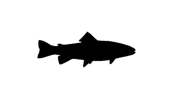 Generic Trout Stencil, 4-Inch, Reusable Plastic, Fish-Themed Crafting and Outdoor Decor, DIY Art Projects, White