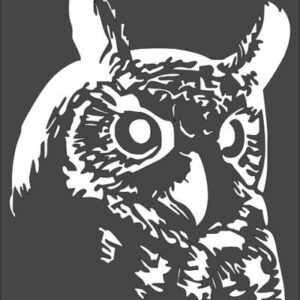 Stencil owl face, Plastic Reusable
