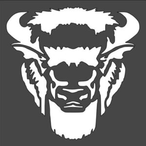 Stencil Buffalo Design, Plastic Reusable