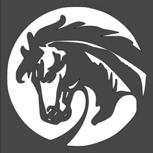 Stencil Horse, Plastic Reusable