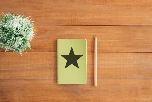 Create Stellar DIY Projects with Our Star Stencil Template - Reusable, Laser-Cut Mylar for Wall Decor, Furniture, and Crafts - Image 3