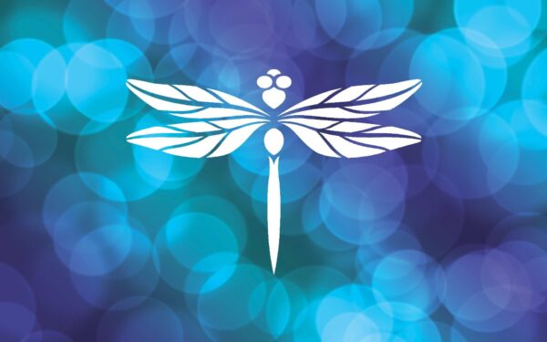 Dragonfly Stencil - Lifelike Detail, Reusable Mylar Stencils for Painting Crafts & Decorations LIONX - Image 2