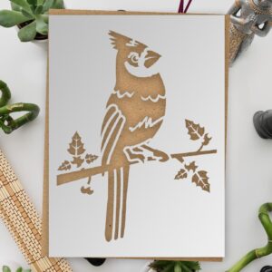 Cardinal Bird Stencil - - Reusable Plastic Stencil for Cardinal Bird Painting STENCILAIR