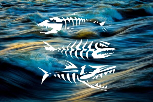 Fish Skeleton Stencil – Reusable Aggressive Fishbone Designs for DIY Fishing Gear, Horror Marine Art, Tattoo Style Crafts & Edgy Ocean Decor - Image 2