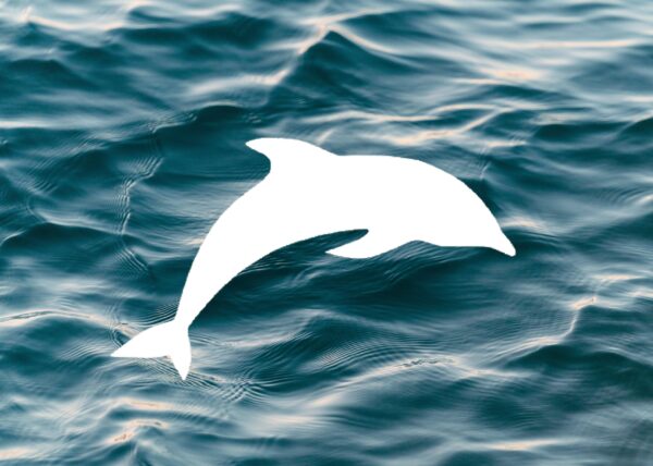 Dolphin Style Design Stencil, 4-Inch, Reusable Mylar Cutout for Art, Crafts & DIY Projects - Image 2