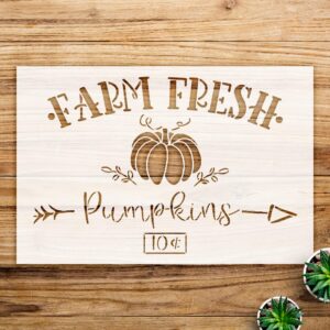 Pumpkin Stencil Pattern for Crafts and Home Decor, Reusable Mylar Template, Ideal for Fall and Autumn Projects, Perfect for Wood, Walls, and Farmhouse Themes - Size A4 ()