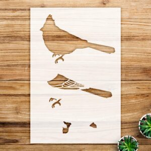 Cardinal Stencil Pattern for Walls and Crafts, Reusable Mylar Template, Layered Design, Ideal for Home Decor and Artistic Projects - Size A3 ()