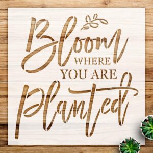 Bloom Where You are Planted Script Stencil for Wood Signs and Home Decor, Reusable Mylar Template for DIY Spring Crafts and Wall Art - Size A4 ()