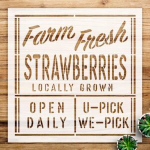 Farm Fresh Strawberries Stencil for Walls and Crafts, Reusable Mylar Template, Ideal for Rustic Farmhouse Kitchen Decor and DIY Projects - Size A4 ()