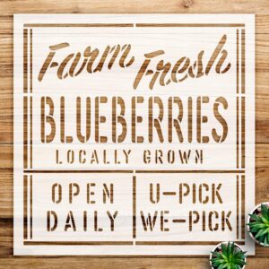 Blueberries Stencil Pattern for Walls and Crafts, Reusable Mylar Template, Ideal for Farmhouse Kitchen Decor and DIY Projects - Size A3 ()