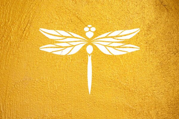 Dragonfly Stencil - Lifelike Detail, Reusable Mylar Stencils for Painting Crafts & Decorations LIONX - Image 4