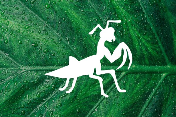 4-Inch Praying Mantis Style Design Stencil, Reusable Mylar Cutout, for Sign Art, Crafts & DIY Projects - Image 2