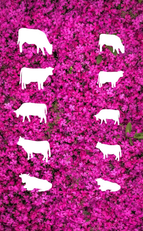 Reusable Multiple Small Cows Stencil - Custom Farm Animal Design for Rustic Crafts - Image 2