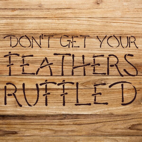 Word Stencil Pattern for Walls and Crafts, Don't get Your Feathers Ruffled Design, Reusable Mylar Template, Ideal for Home Decor and Creative Projects - Size A4 () - Image 2