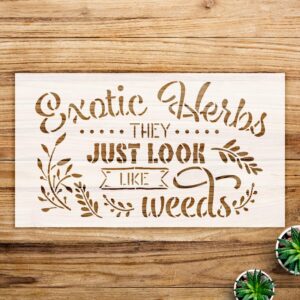 Exotic Herbs Stencil Pattern for Walls and Crafts, Reusable Mylar Template, Ideal for Garden Decor and DIY Home Projects - Size A1 ()